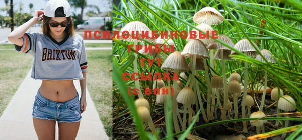 молекула духа Абаза