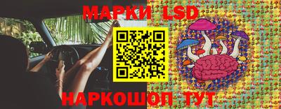 мяу мяу мука Кингисепп