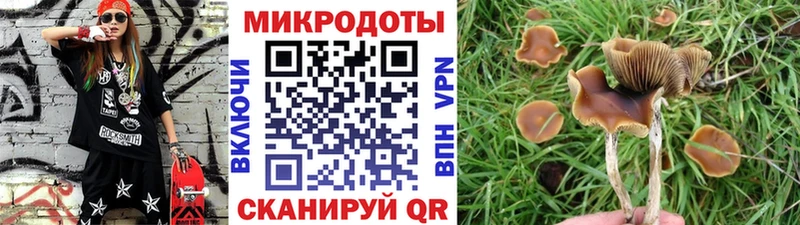 Псилоцибиновые грибы ЛСД  блэк спрут маркетплейс  Лангепас 